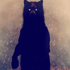 Meet your Posher, Sonny